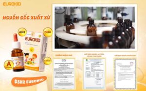 Eurokid của nước nào, nguồn gốc xuất xứ